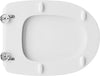 Sedile Wc Per Azzurra Vaso Pratica Forma 6- Bianco- Cw- Pezzi 1