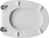 Sedile Wc Per Catalano Vaso Tissi Forma 6- Bianco- Cw- Pezzi 1