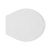 Sedile Wc Per Disegno Ceramica Vaso Paolina Forma 2- Bianco - Cerniere A Passanti- Cw- Pezzi 1