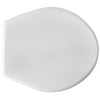 Sedile Wc Per Incea Vaso Pompea Forma 2- Bianco- Cw- Pezzi 1