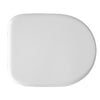 Sedile Wc Per Rak Vaso Compact Forma 6- Verde Bertocci- Cw- Pezzi 1