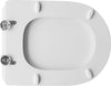 Sedile Wc Per Vavid Vaso Orientale Forma 7- Champagne- Cw- Pezzi 1