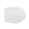 Sedile Wc In Termoindurente Per Ideal Standard Ellisse Forma 1- Bianco- Cw- Pezzi 1