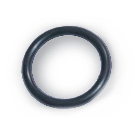 Guarnizione O-Ring Piletta/Sede Per Monolith 2011 Kariba- Karib- Pezzi 1