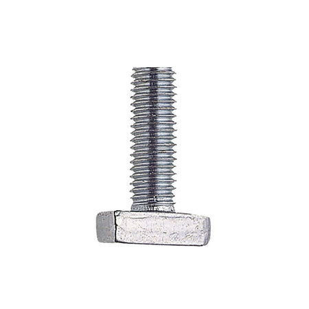 Bullone Zincato Testa Martello- M10X30- Oter- Pezzi 1