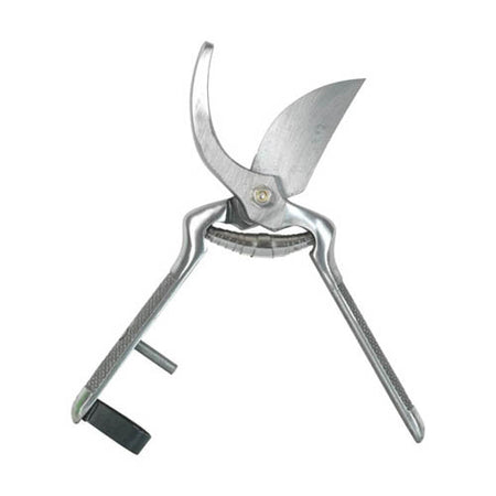 Forbice Curva Tradizionale- 230 Mm- Ribim- Pezzi 1