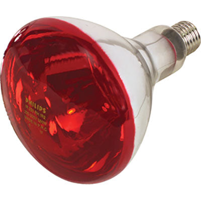 Lampada Riflettore Pulcini Infrarossi Volt 230 Watt 150 E27 Mm 125