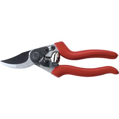 Forbice Pota Ks8T Samurai Cm 22