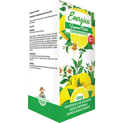 Corroborante Sapone Molle Energica - Gr 200- 4 Pezzi
