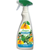 Corroborante Sapone Molle Spray Energica - Ml 500- 6 Pezzi