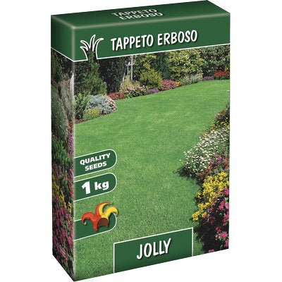 Seme Prato Jolly Kg 1