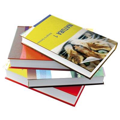 Plastica Adesiva Trasparente Lucido 0112 Alkor H.Cm 45 L.Mt 15