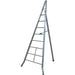 Scala Triangolare Agri Facal - Alluminio H.Cm 250 Pioli 6