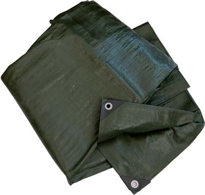 Telone Occhiellato Pe Pesante Verde Hand - Gr/Mq 180 Mt 3X2- 2 Pezzi