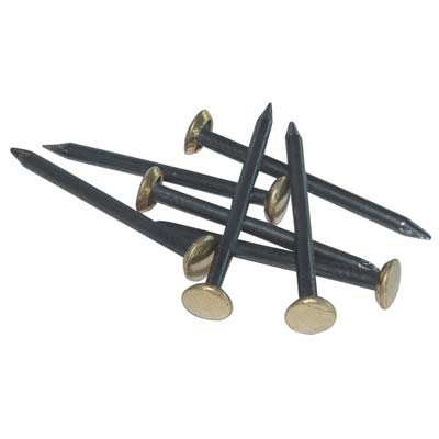 Chiodo Testa Ottone - Acciaio Cf=Pz 100 Mm 25- 5 Confezioni