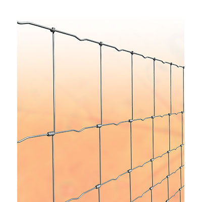 Rete Pecora Annodata Zincata Margherita Cavatorta 120/9/15 Vivagno Mm 2,2 L.Mt 50