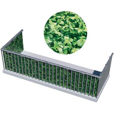 Telo Balcone Frangivista Stampato Stars Pvc Siepe Gr/Mq 450 H.Cm 90 L.Mt 6 + Corda