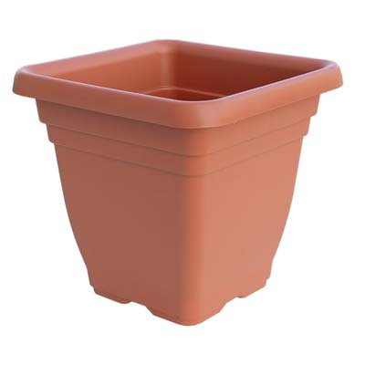 Vaso Quadro Laurus Ics - Pp Terracotta Cm 40X40 H.Cm 36- 6 Pezzi