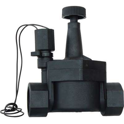 Elettrovalvola A Solenoide Rain Volt 24 11/4F Rn160