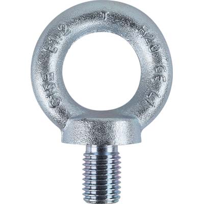 Golfare Maschio Zincato 8040Ez Robur - Din580 M10 O.Mm 25- 10 Pezzi