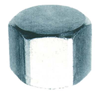 Tappo F Esagonale Acciaio Zincato 300Z Oter - 3/8F- 20 Pezzi