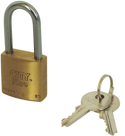 Lucchetto Arco Lungo Aditus Iseo - Ottone Arco Cromato Chiavi 2 Mm 25X25- 10 Pezzi