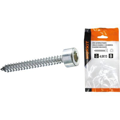 Vite Autofilettante Tcce Self Workit - Zincata Bianca Mm 4,8X22 Cf=Pz 15- 5 Confezioni