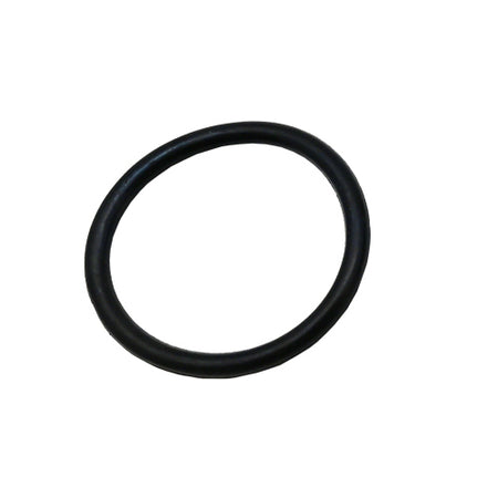 Guarnizione Resistenza Per Scaldabagno Aton A Vite- Aton- Pezzi 1