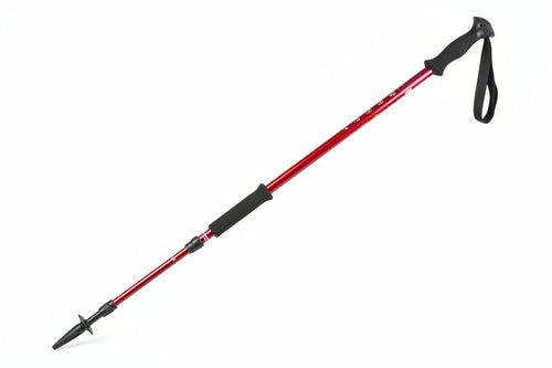 Elettrosega Con Asta Telescopica 710W Con Barra Cm.25 Excel