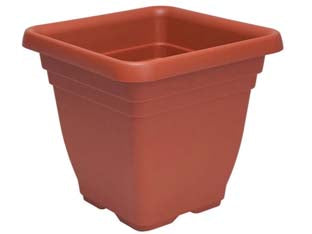 Vaso Quadro Laurus Cm.30X30X28H. Ics