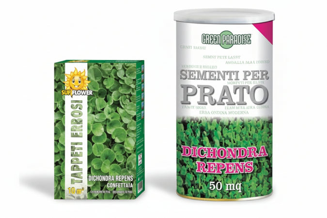 Semi Prato Dichondra Repens- - Gr.100 Per Mq.10 Di Prato - 5 Pezzi Franchi