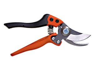 Forbice Pota Professionale Px- - Cm.20 (Px-M2) - 1 Blister Bahco