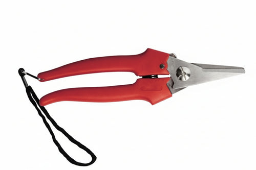 Forbice Raccolta Lama Lunga- - Cm.19 - 31327 - 12 Pezzi Ausonia