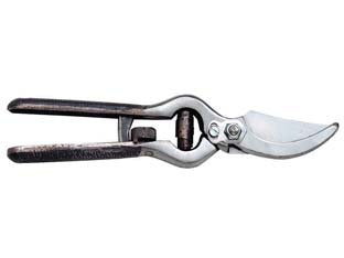 Forbice Pota Forgiata Professionale Chiusura A Rullo Spalla Lucida Cm.21 31003 Ausonia