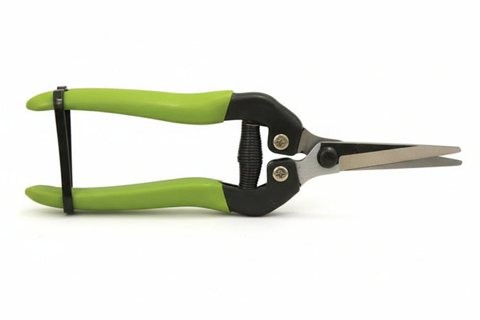 Forbice Raccolta- - Cm.19 - 12 Pezzi Il Campo