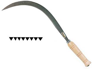 Falciola Dentata Aperta N°4/0 Art.2557 Il Campo