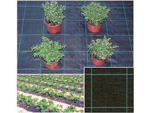 Telo In Rafia Per Pacciamatura Nero- - Mt.100X1,05H. - 105 Mq T-Rex