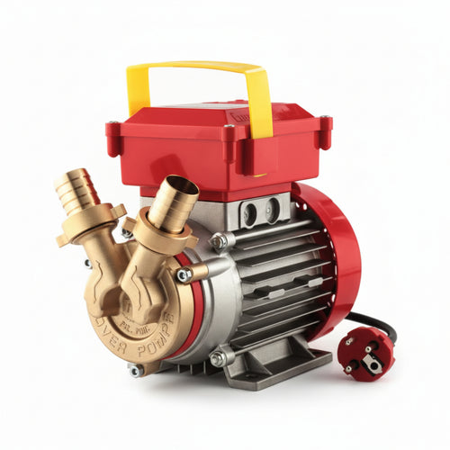 Elettropompa In Bronzo Bisenso Da Travaso Rover 25 Ce Rover