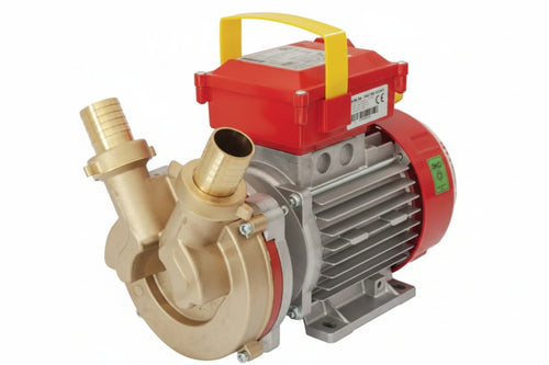 Elettropompa In Bronzo Bisenso Da Travaso Rover 30 Ce Rover