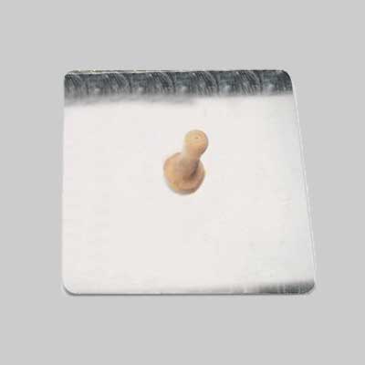 Frattone Sparviero '890' Pavan 33X33 Cm - Pavan