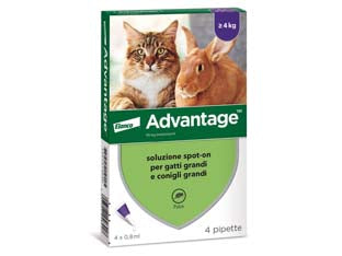 Antiparassitario Advantage Per Gatti E Conigli Oltre Kg.4 In Conf. Da 4 Pipette Spoton Advantage