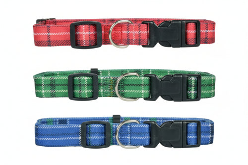Collare Per Cani In Nylon- - Cm.20/30X1 - 5 Pezzi Il Campo