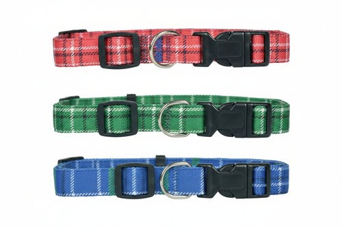 Collare Per Cani In Nylon- - Cm.48/70X2,5 - 5 Pezzi Il Campo