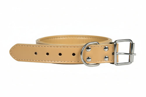 Collare Per Cani Finto Cuoio Imbottito- - Cm.46X2 - 5 Pezzi Il Campo