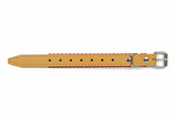 Collare Per Cani Cuoio Foderato- - Cm.33X1,2 - 5 Pezzi Il Campo