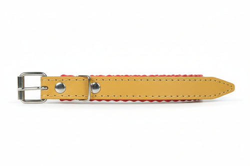 Collare Per Cani Cuoio Foderato- - Cm.37X1,6 - 5 Pezzi Il Campo
