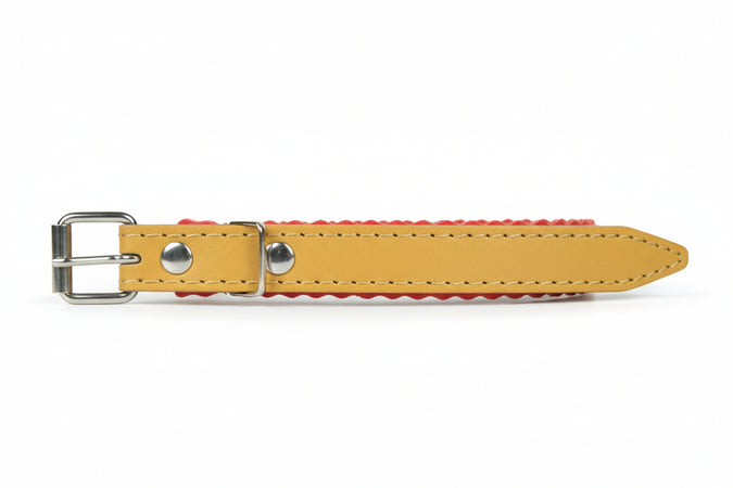 Collare Per Cani Cuoio Foderato- - Cm.37X1,6 - 5 Pezzi Il Campo