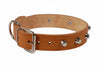 Collare Per Cani Cuoio Extra Naturale Finta Cucitura Con Borchie- - Cm.61X3,5 Cuoio Naturale - 6 Pezzi
