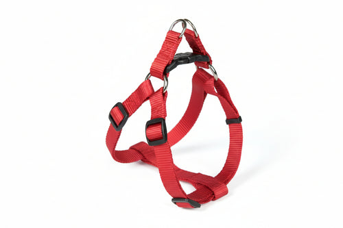 Pettorina Per Cani Nylon- - Cm.20/40X1 - 2 Pezzi Il Campo