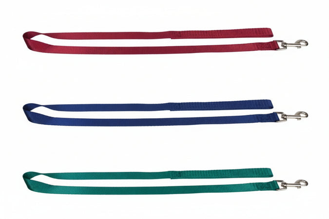Guinzaglio Per Cani In Nylon- - Cm.100X1 - 5 Pezzi Il Campo